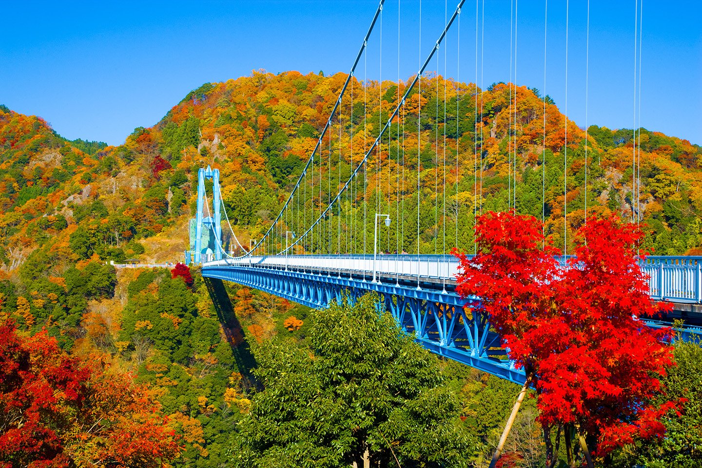 🌉 용신 대현수교 (류진오쓰리바시) 이미지 1